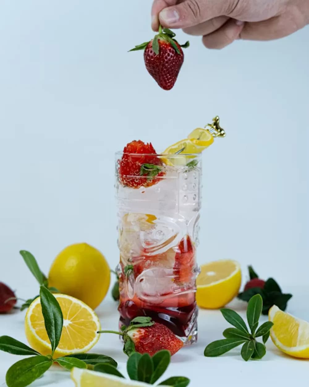 Infusion Fraise-Citron-Basilic — vue 3